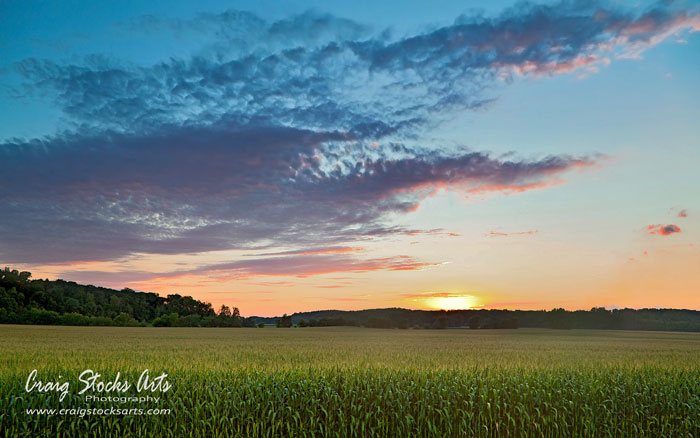 Illinois Cornfield Sunset