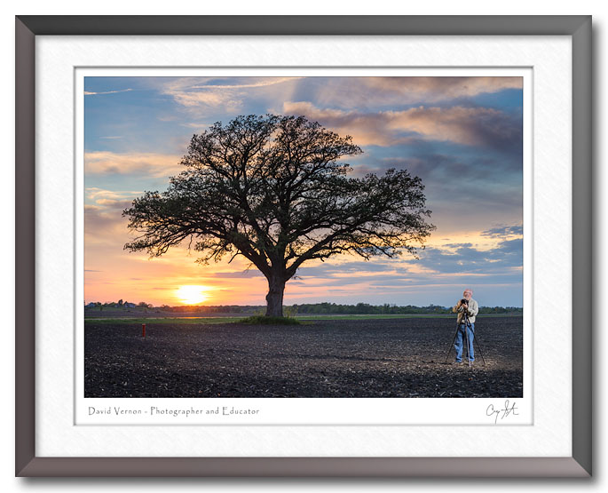 Photographer David Vernon with his tree