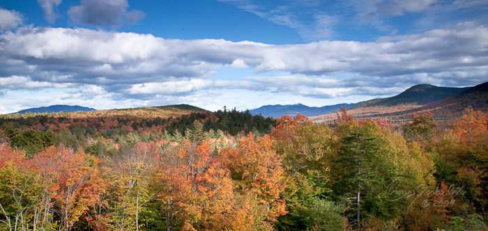 Fall Colors in the White Mountains