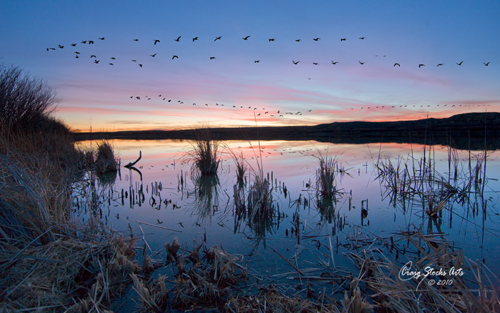 Bosque del Apache Sunset