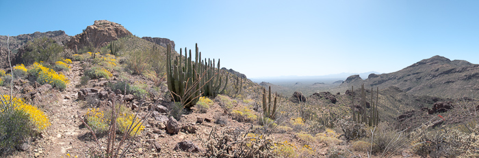 Bull Pasture Trail