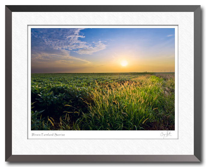 Illinois Farmland Sunrise