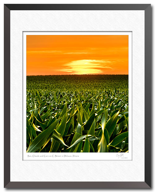 Corn abstract