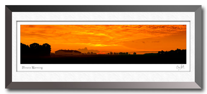 Illinois cornfield panorama