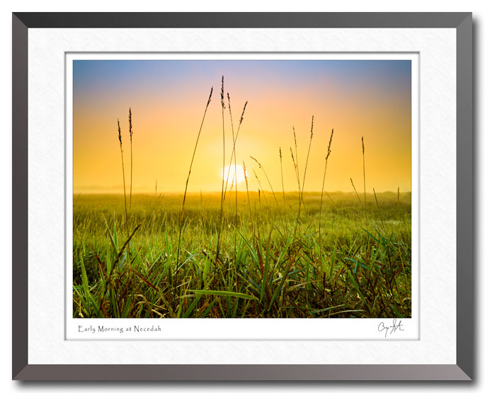 Grass and sunset