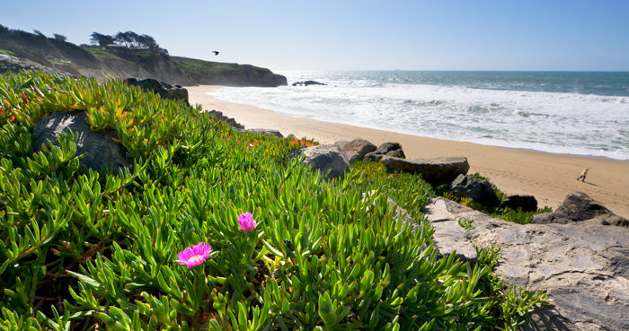 Montara State Beach