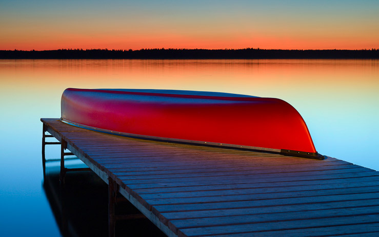 Mosquito on Canoe