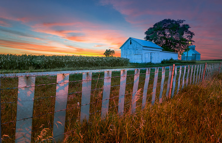 Pink Dusk 2014